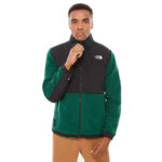 The North Face Giacca Denali Jacket 2 - Night Green