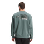 The North Face Felpa Coordinates Crewneck Balsam Green