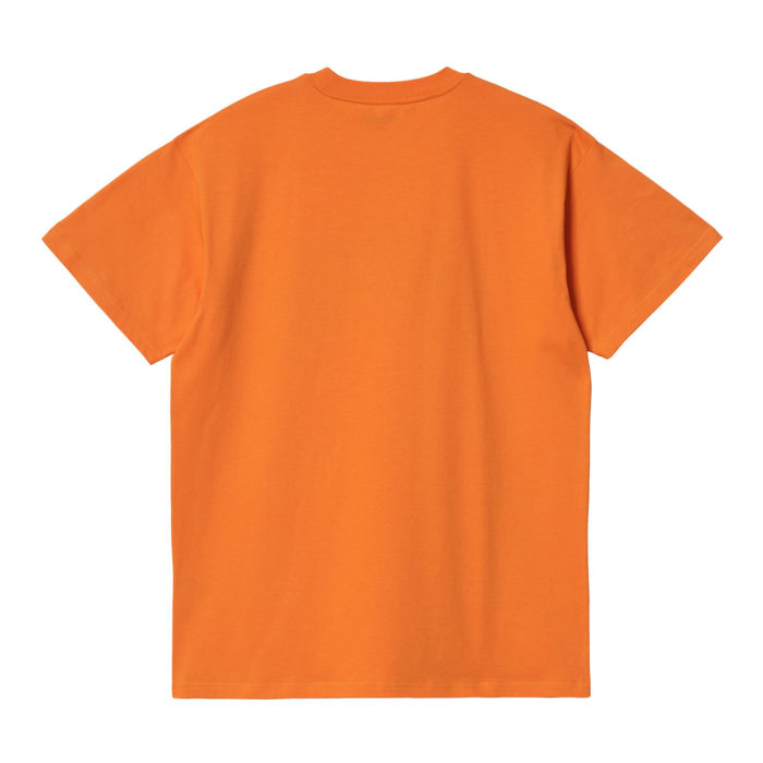 Carhartt Wip Detroit Arch T-Shirt Hokkaido/Black - immagine 3